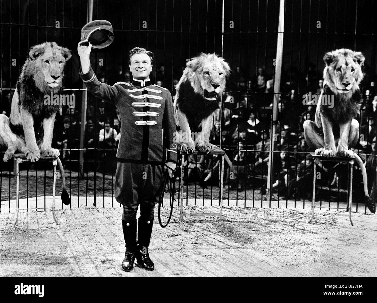 Eddie Albert & Lions Film: The Wagons Roll At Night (1941) Charaktere: Matt Varney & Regie: Ray Enright 25 April 1941 **WARNUNG** Dieses Foto ist nur für redaktionelle Zwecke bestimmt und unterliegt dem Copyright von WARNER BROS und/oder des Fotografen, der von der Film- oder Produktionsfirma beauftragt wurde, und kann nur von Publikationen im Zusammenhang mit der Bewerbung des oben genannten Films reproduziert werden. Eine obligatorische Gutschrift an WARNER BROS ist erforderlich. Der Fotograf sollte auch bei Bekanntwerden des Fotos gutgeschrieben werden. Ohne schriftliche Genehmigung der Film Company kann keine kommerzielle Nutzung gewährt werden. Stockfoto