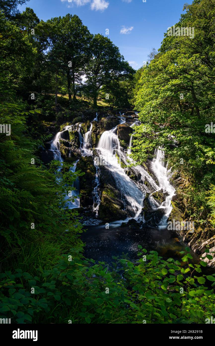 Blick auf den Swallow Falls Wasserfall in Anglesey im Norden von Wales, umgeben von üppig grüner Sommervegetation Stockfoto