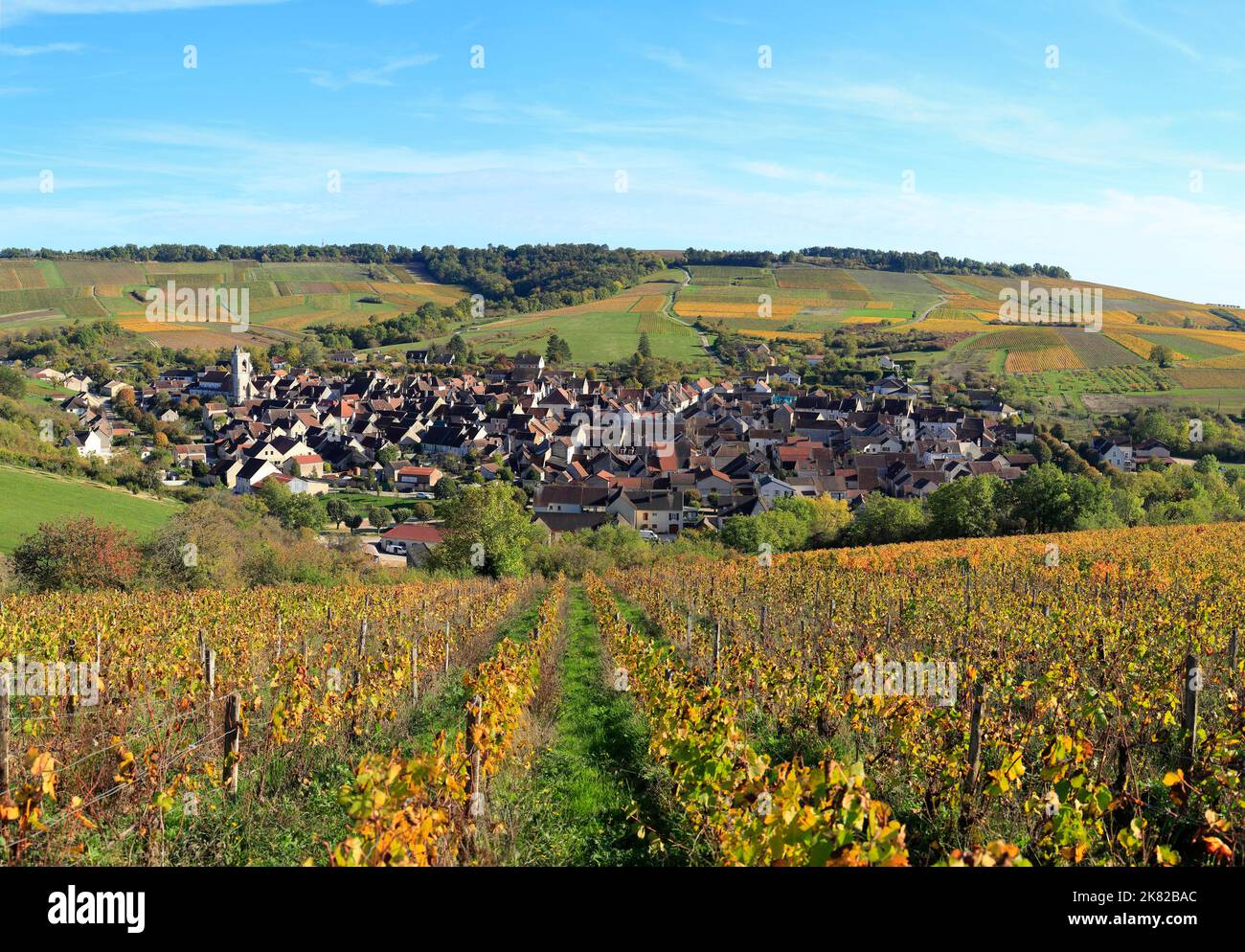 Das französische Weinbaudorf Irancy in Burgund Stockfoto