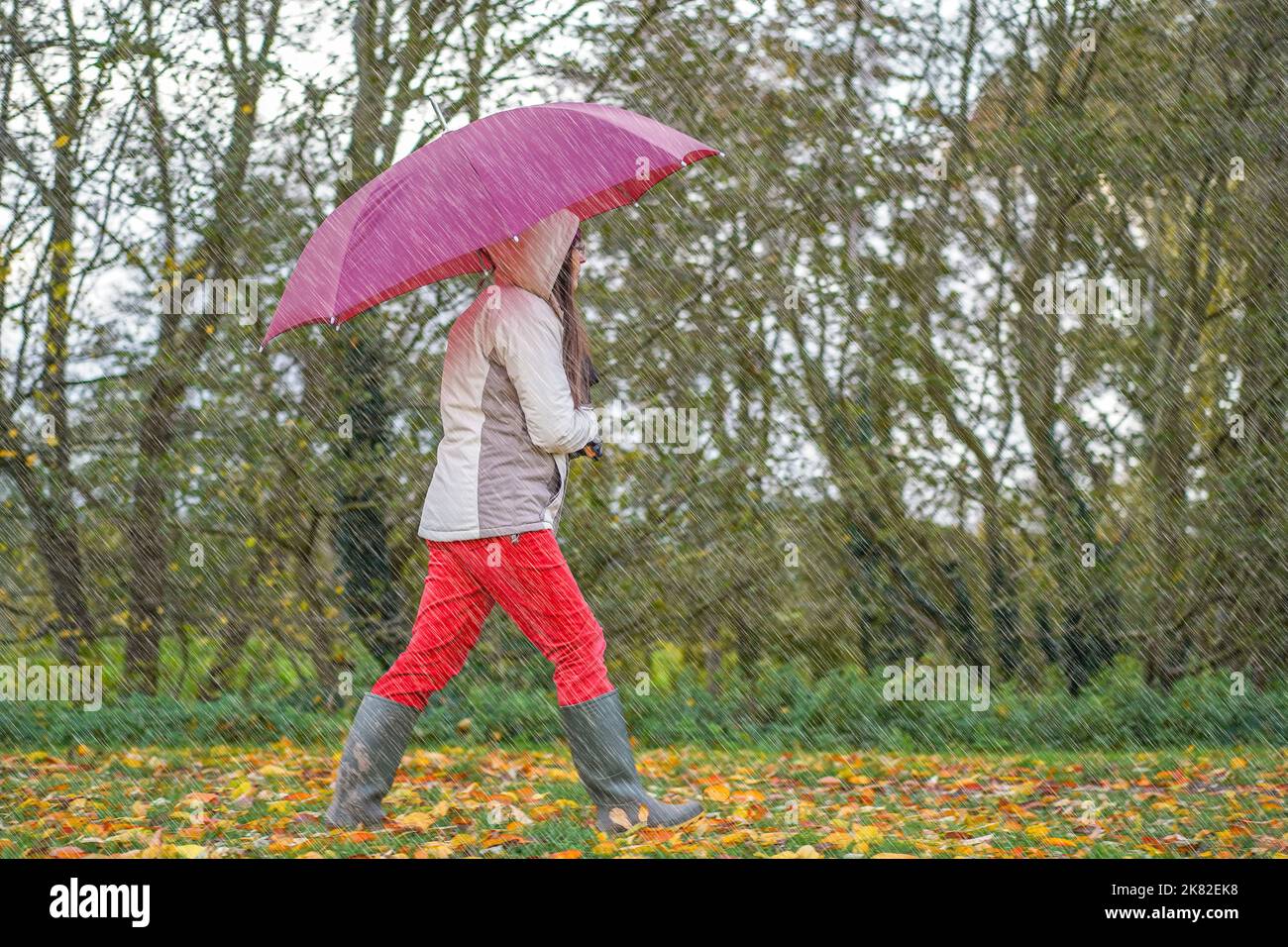 Seitenansicht einer Frau, die rote Hosen und grüne Gummistiefel trägt und einen Regenschirm hält, der im strömenden Regen durch Herbstblätter im Freien läuft. Stockfoto
