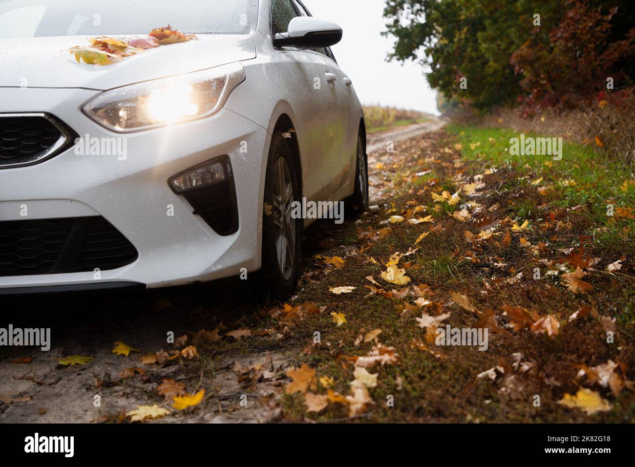 Weißes Auto auf einer unbefestigten Straße, übersät mit gefallenen gelben, orangefarbenen, braunen Blättern, an einem bewölkten Herbsttag im Park. Romantisches Wochenende mit dem Auto Stockfoto