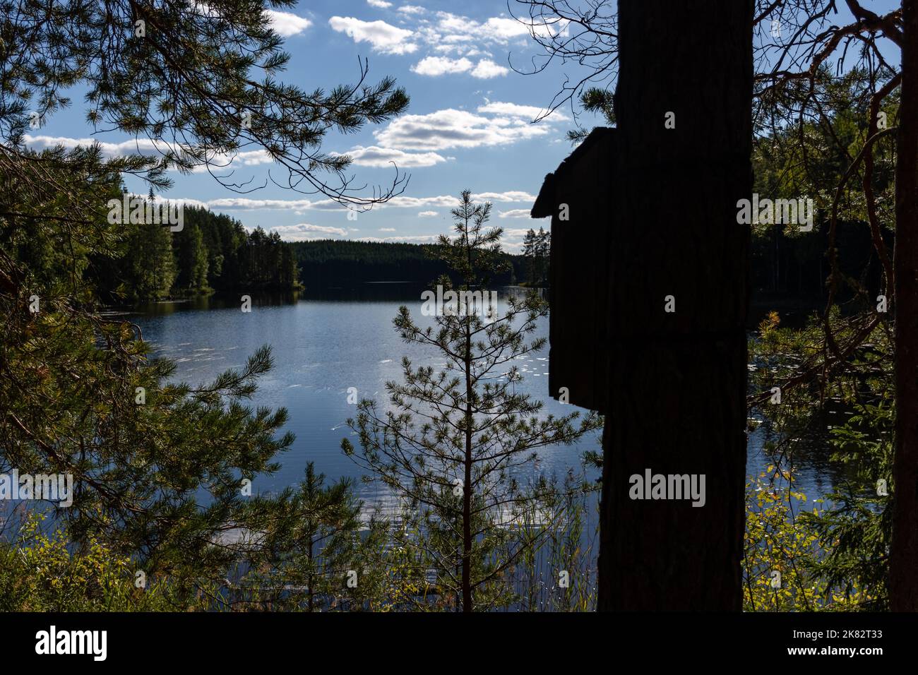 Finnische Seenlandschaft im Sommer mit Silhouette eines Vogelhauses und Baumstamm im Vordergrund Stockfoto