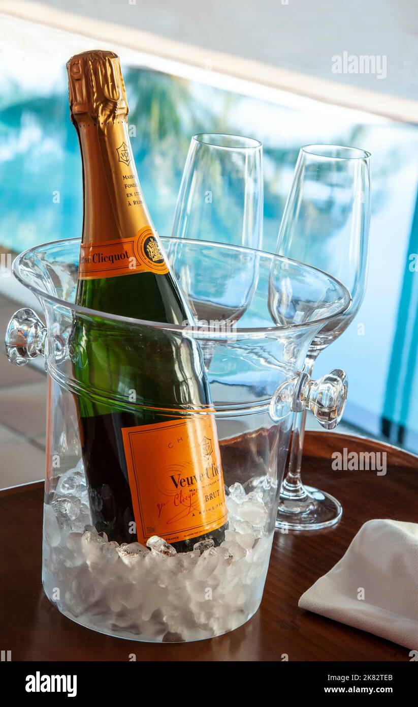 CHAMPAGNER URLAUB LIFESTYLE Veuve Clicquot feine vintage Champagner-Flasche mit Gläsern, auf Eis im Weinkühler, Luxus sonnendurchfluteten Unendlichen Pool dahinter Stockfoto