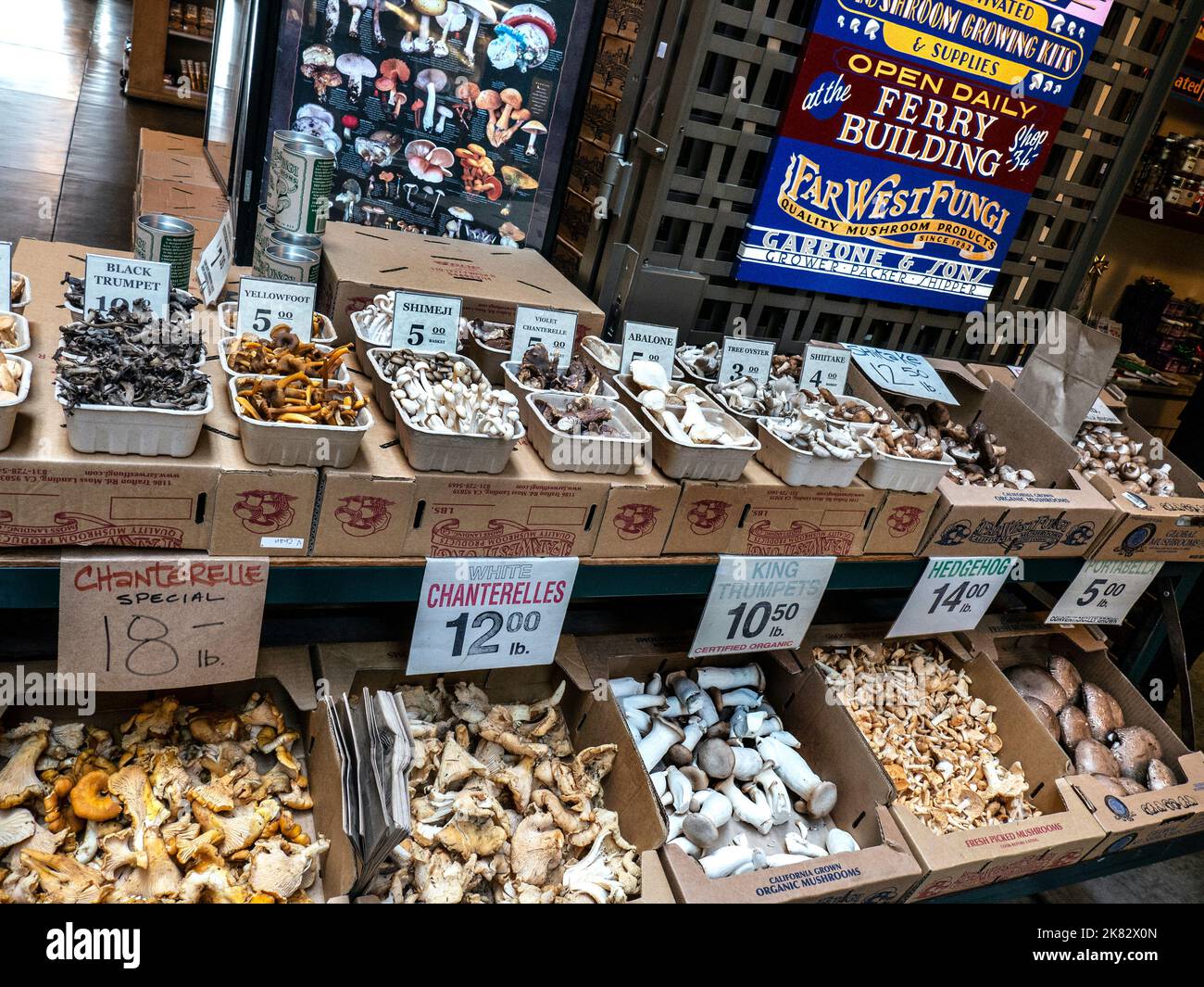 PILZE BAUERN MARKT SAN FRANCISCO Bio Pilz Stand im Farmers Market Ferry Building Embarcadero San Francisco Kalifornien USA Stockfoto