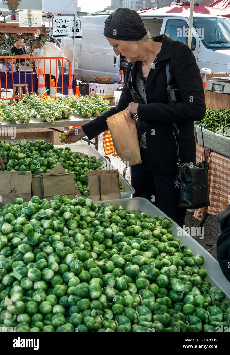 Brussels Sprouts at Farmers Market Stand stilvolle San Francisco Shopper treffen eine Auswahl DER FÄHRE PLAZA FARMERS MARKET Embarcadero California USA Stockfoto