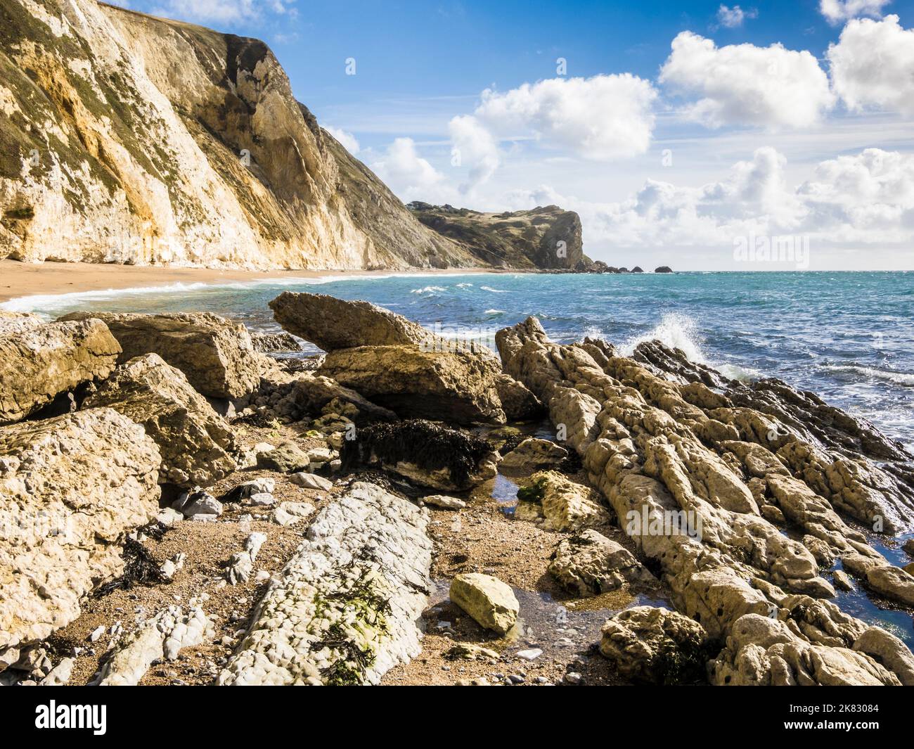 St. Oswald's Bay und Dungy Head an der Jurassic Coast in Dorset. Stockfoto