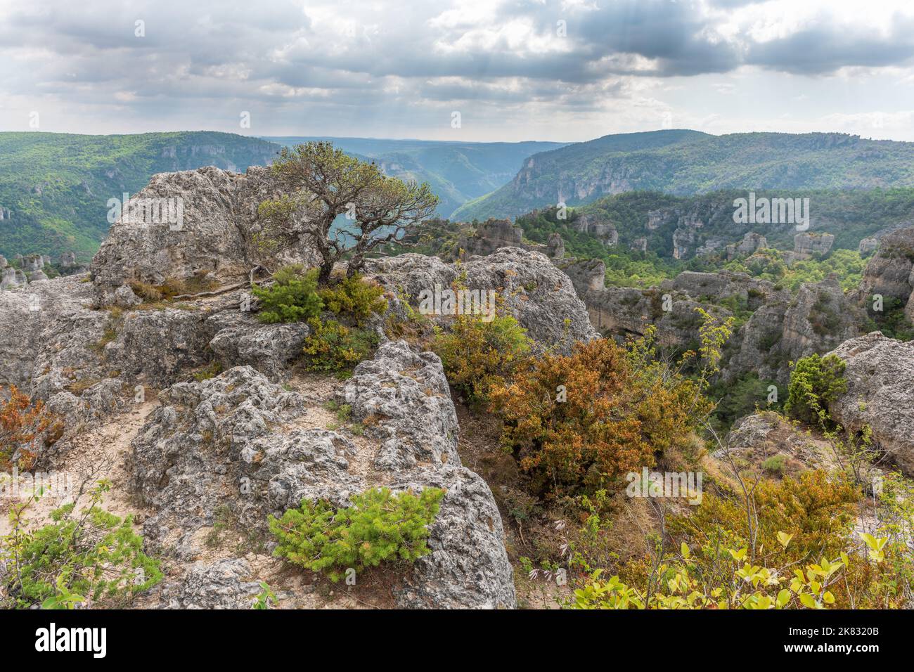 Die Stadt der Steine, innerhalb des Grands Causses Regional Natural Park, denkmalgeschützte Naturstätte mit Dourbie Gorges am unteren Rand. Aveyron, Cevennes, Frankreich. Stockfoto