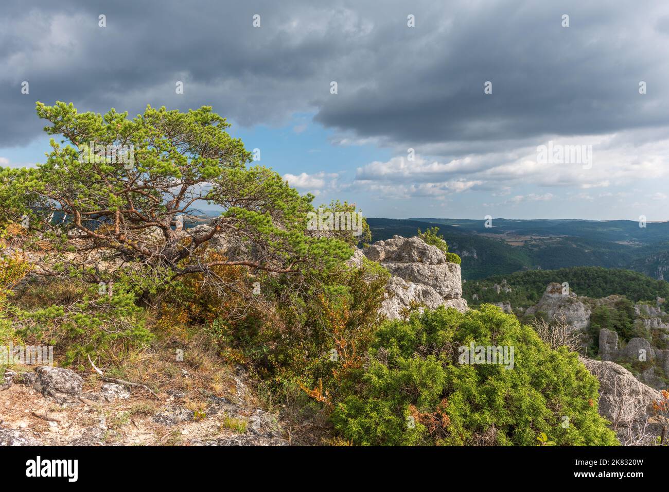 Die Stadt der Steine, innerhalb des Grands Causses Regional Natural Park, denkmalgeschützte Naturstätte mit Dourbie Gorges am unteren Rand. Aveyron, Cevennes, Frankreich. Stockfoto