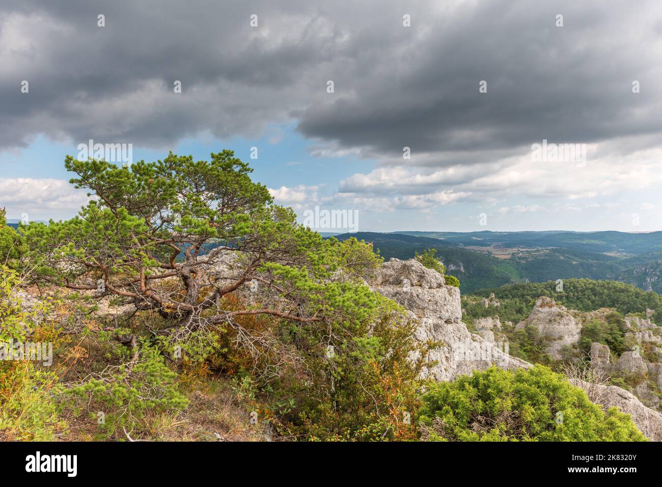 Die Stadt der Steine, innerhalb des Grands Causses Regional Natural Park, denkmalgeschützte Naturstätte mit Dourbie Gorges am unteren Rand. Aveyron, Cevennes, Frankreich. Stockfoto