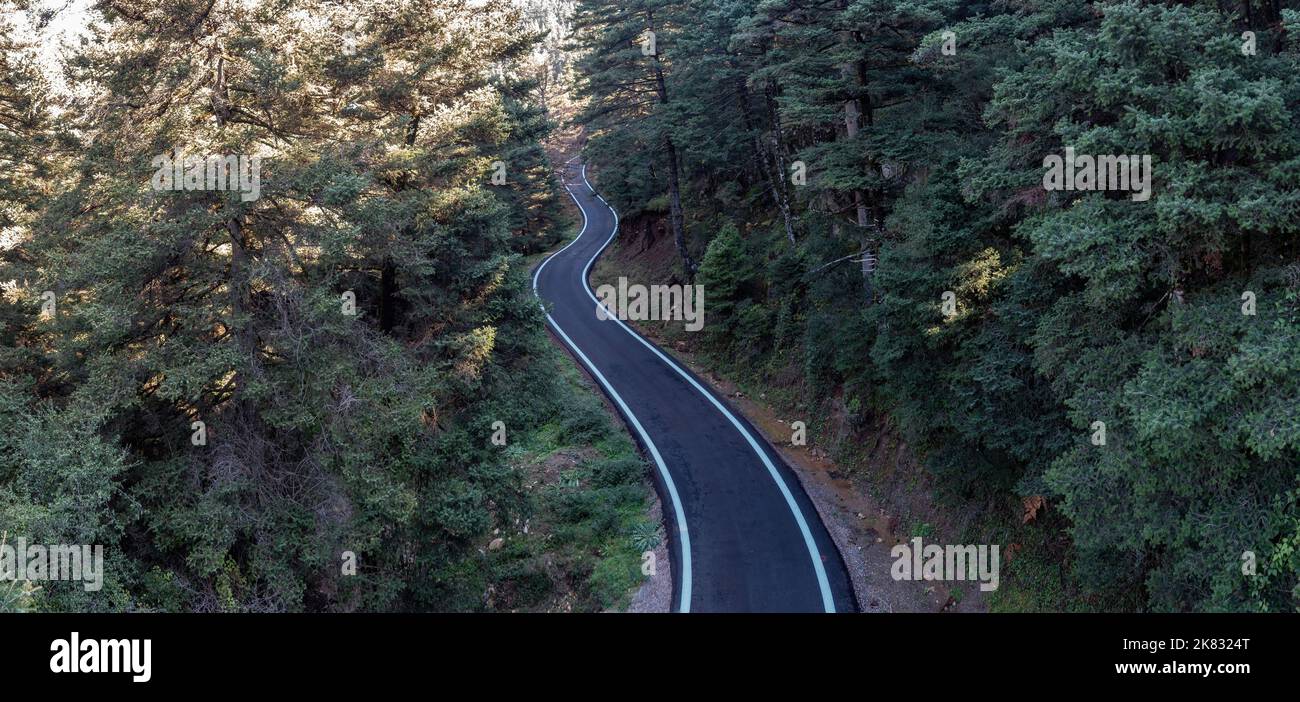 Kurvenreiche Asphaltstraße über Tannenwald. Luftdrohnenansicht, von oben nach unten. Dichter Fichtenwald von oben auf dem Peloponnes, Griechenland Stockfoto