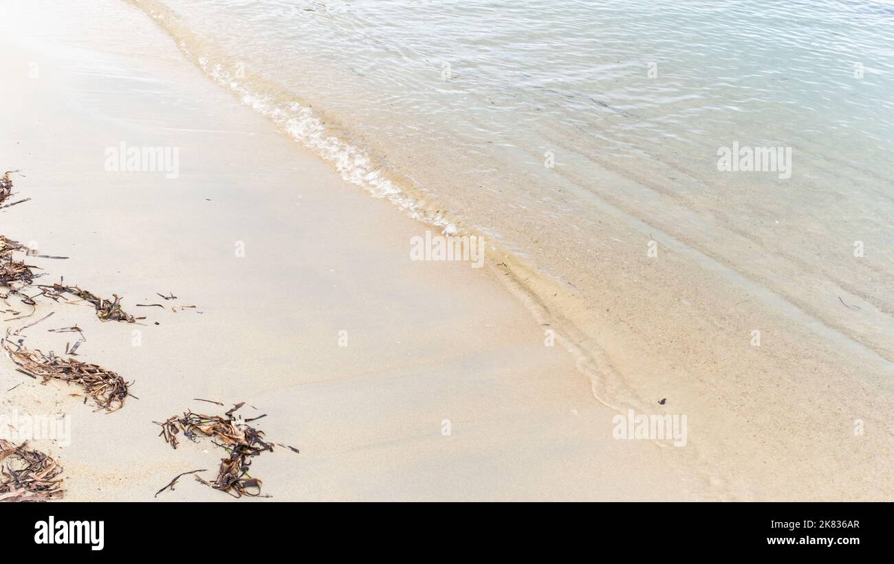 Blauer Meereswellenhintergrund am Sandstrand mit Algen Stockfoto