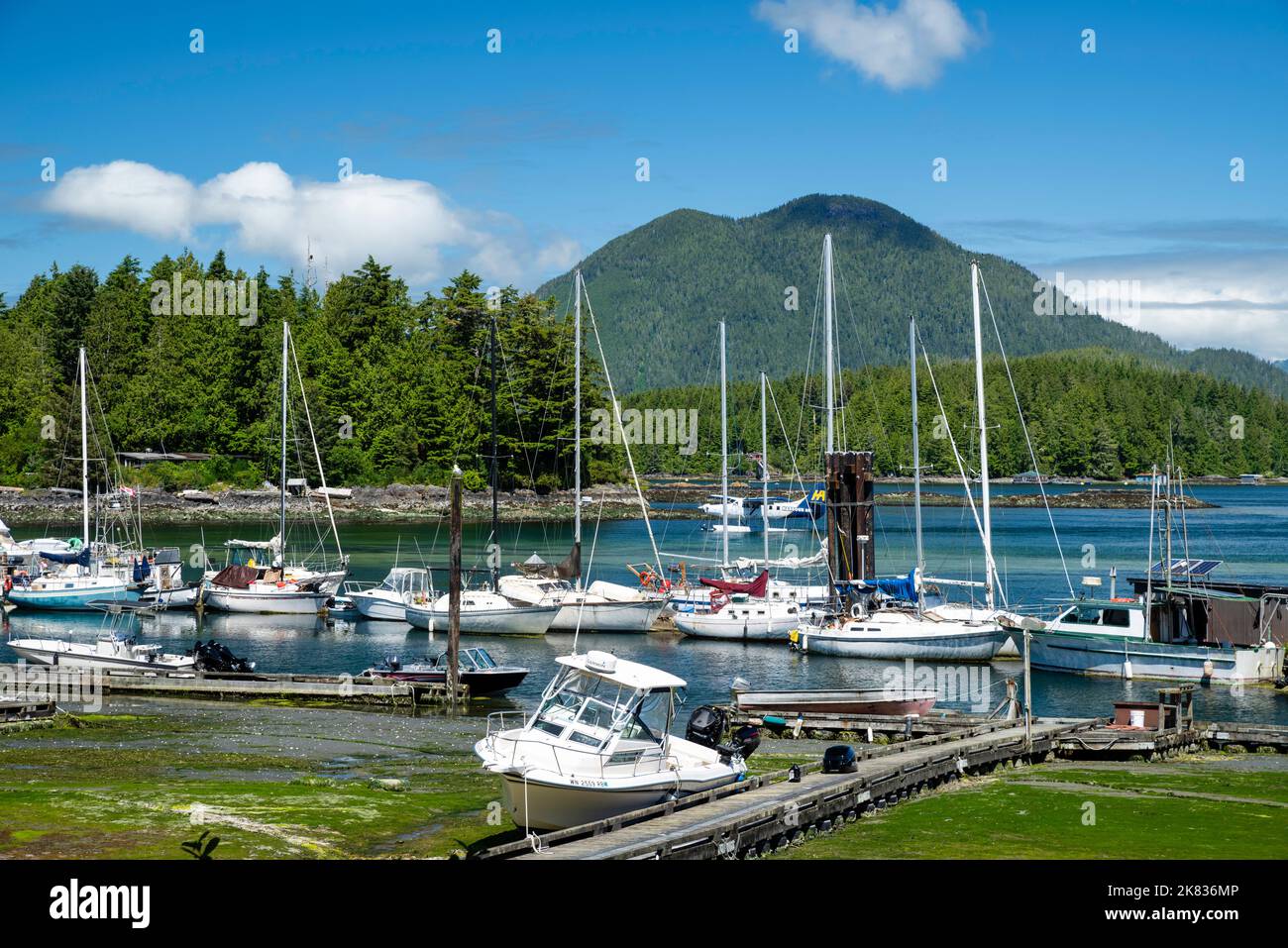 Foto von Tofino an einem schönen Sommermorgen. Tofino, British Columbia, Kanada. Stockfoto