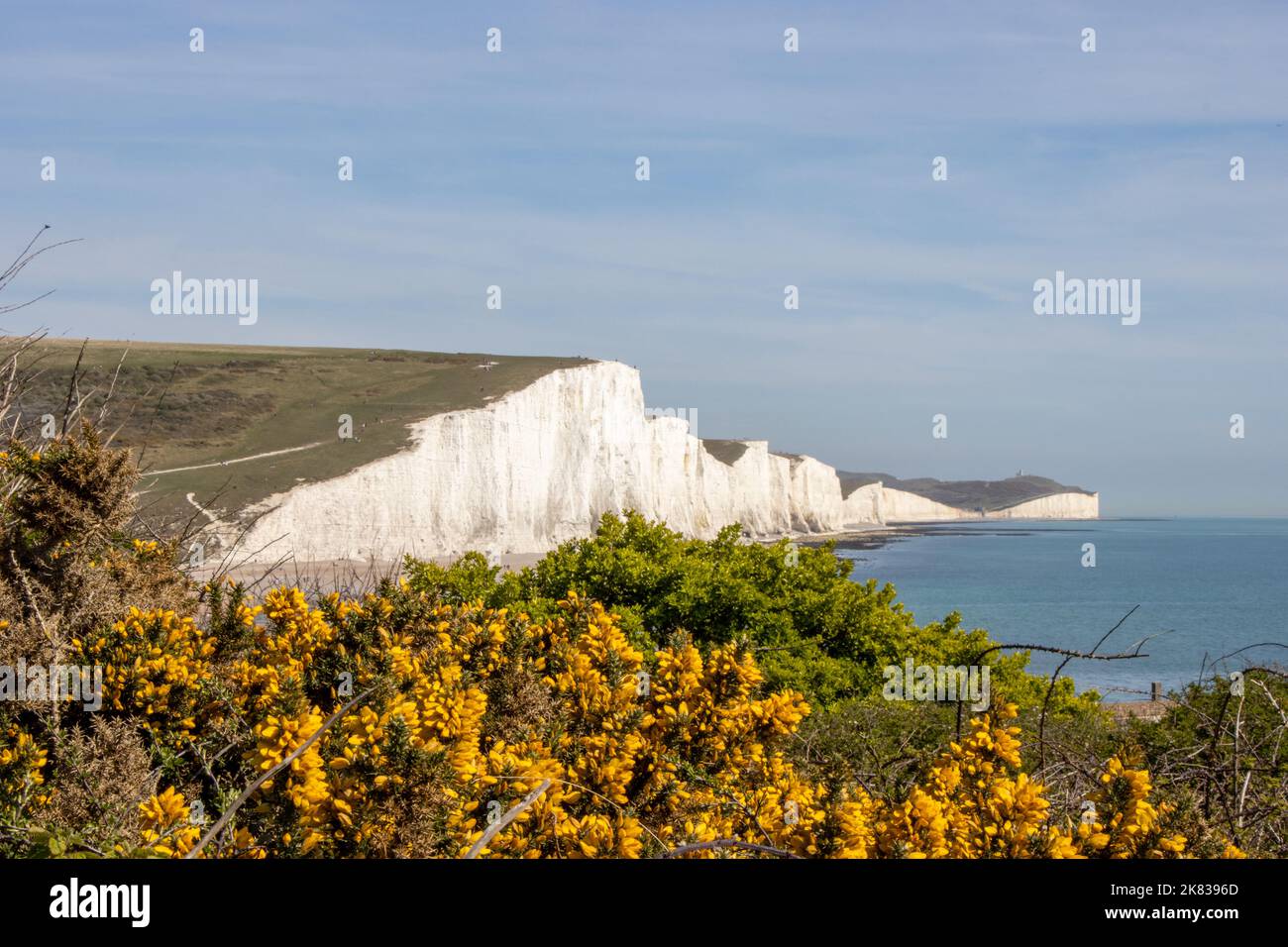 Panoramablick auf die weißen Klippen der Seven Sisters in Seaford, East Sussex, Großbritannien. Stockfoto