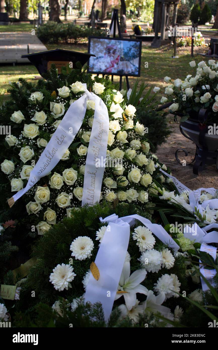 Das Grab von Béla Szakcsi Lakatos, ungarischer Jazzmusiker kurz nach seinem Tod Fiumei út Friedhof - Kerepesi Friedhof - Pest Budapest, Ungarn Stockfoto