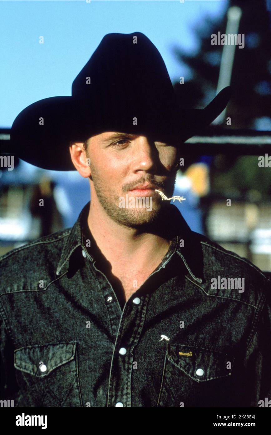 Marcus Thomas Film: Cowboy Up (2001) Charaktere: Ely Braxton Regie: Xavier Koller 11 July 2001 **WARNUNG** Dieses Foto ist nur für redaktionelle Verwendung bestimmt und unterliegt dem Copyright von CODE ENTERTAINMENT und/oder dem Fotografen, der von der Film- oder Produktionsfirma beauftragt wurde und kann nur durch Publikationen im Zusammenhang mit der Bewerbung des oben genannten Films reproduziert werden. Es ist eine obligatorische Gutschrift erforderlich, um DIE UNTERHALTUNG ZU KODIEREN. Der Fotograf sollte auch bei Bekanntwerden des Fotos gutgeschrieben werden. Ohne schriftliche Genehmigung der Film Company kann keine kommerzielle Nutzung gewährt werden. Stockfoto