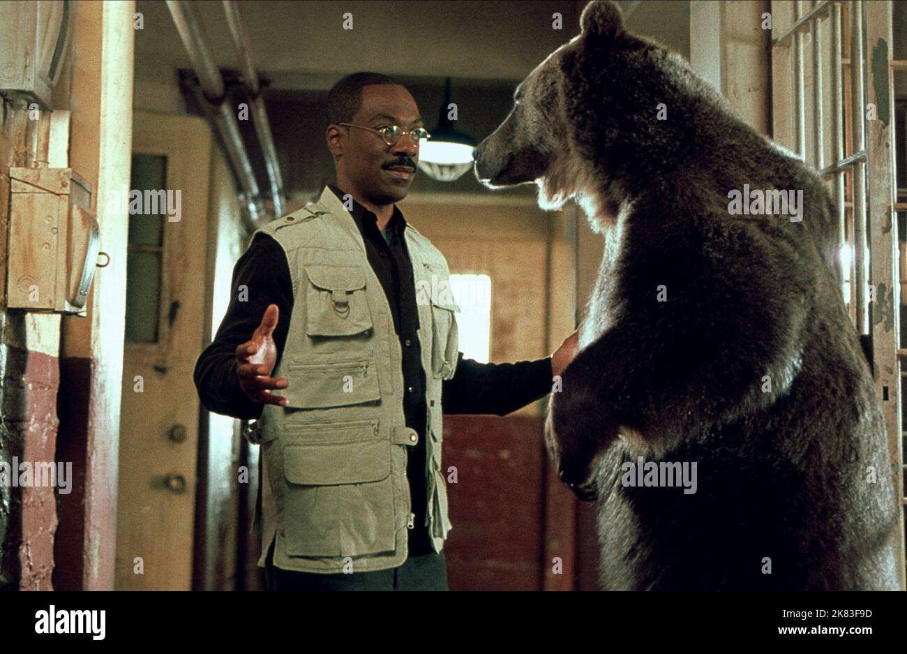 Eddie Murphy Film: Dr. Dolittle 2; Doctor Dolittle 2 (USA 2001) Charaktere: Dr. John Dolittle & Regie: Steve Carr 19 June 2001 **WARNUNG** Dieses Foto ist nur für redaktionelle Verwendung bestimmt und unterliegt dem Copyright von 20. CENTURY FOX und/oder des Fotografen, der von der Film- oder Produktionsfirma beauftragt wurde und kann nur durch Publikationen im Zusammenhang mit der Bewerbung des oben genannten Films reproduziert werden. Eine obligatorische Gutschrift an 20. CENTURY FOX ist erforderlich. Der Fotograf sollte auch bei Bekanntwerden des Fotos gutgeschrieben werden. Ohne schriftliche Genehmigung der Film Company kann keine kommerzielle Nutzung gewährt werden. Stockfoto