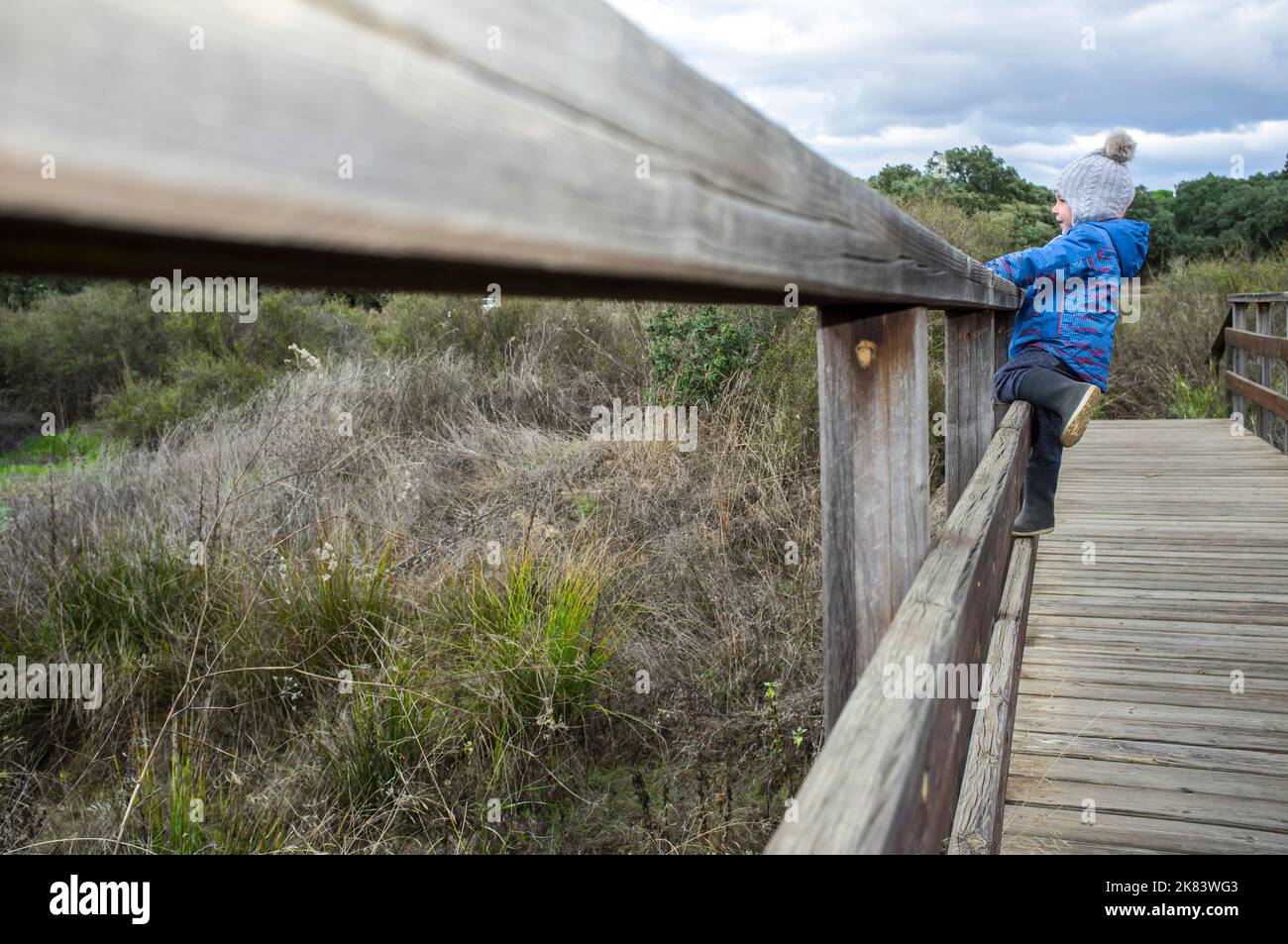 3-jähriger Junge, der über das Geländer einer Holzbrücke klettert. Körperliche Bewegung in der Natur für Kinder Konzept Stockfoto