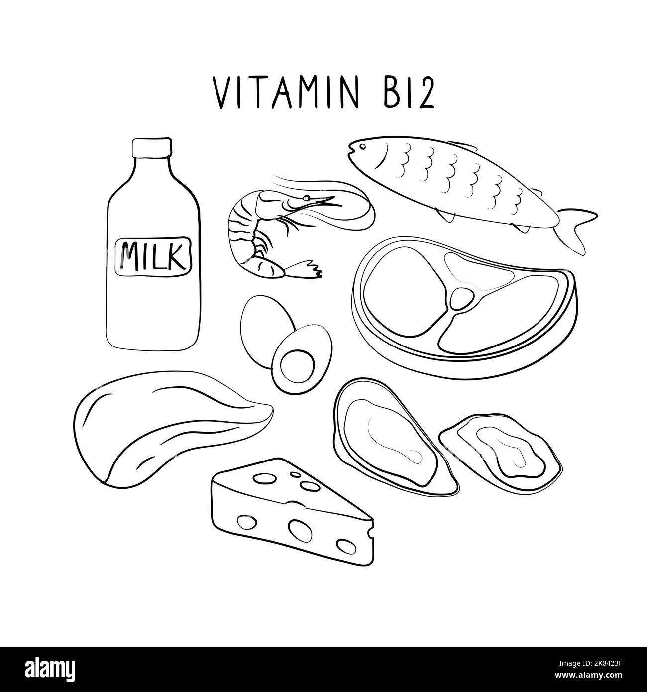 Vitamin B12 Cyanocobalamin, Cobalamin. Gruppen von gesunden Lebensmitteln, die Vitamine enthalten. Set aus Obst, Gemüse, Fleisch, Fisch und Milchprodukten. Stock Vektor