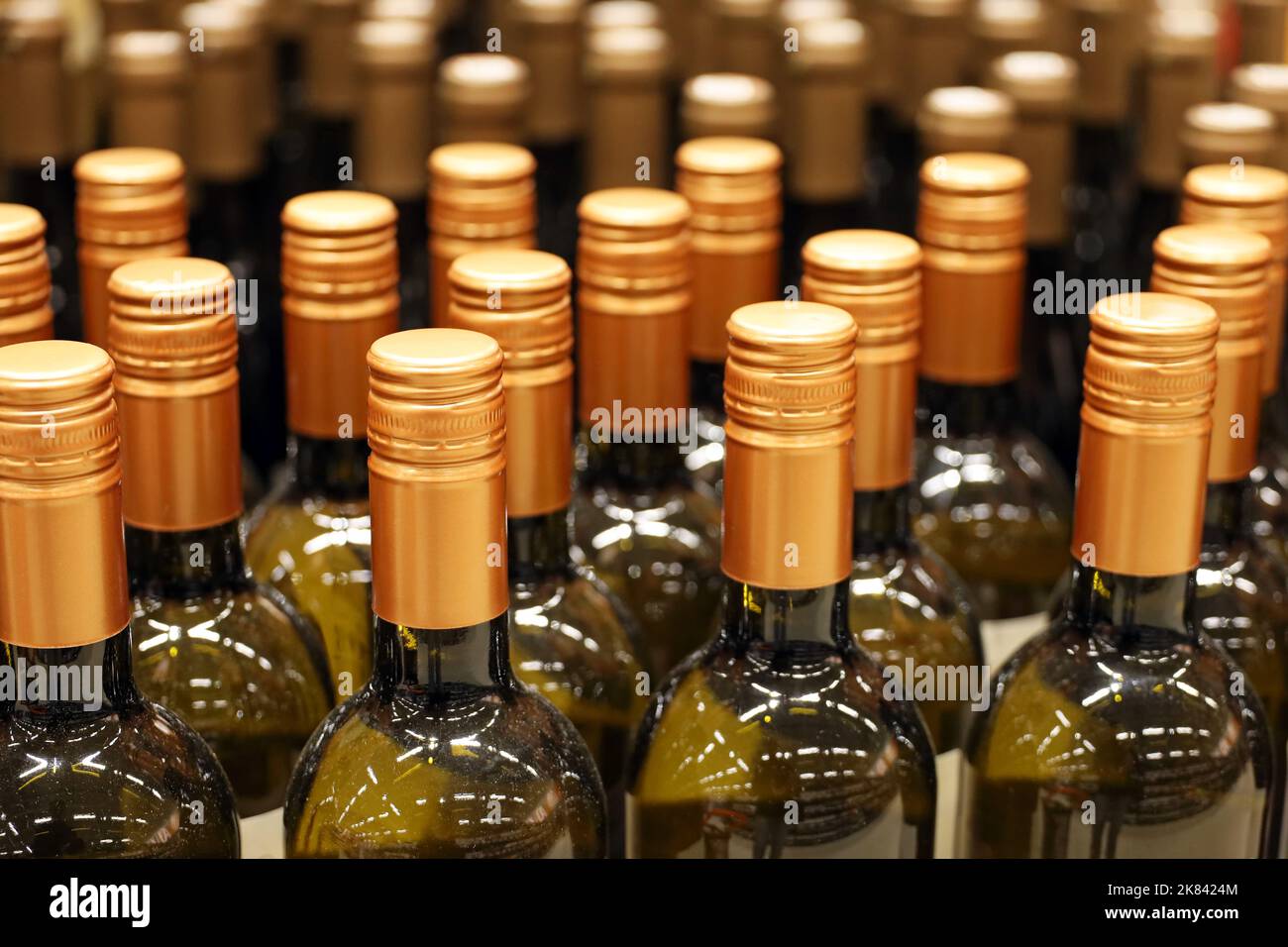 Weinflaschen in einer Reihe, selektiver Fokus. Spirituosenladen, Konzept für die Herstellung von Weißwein Stockfoto