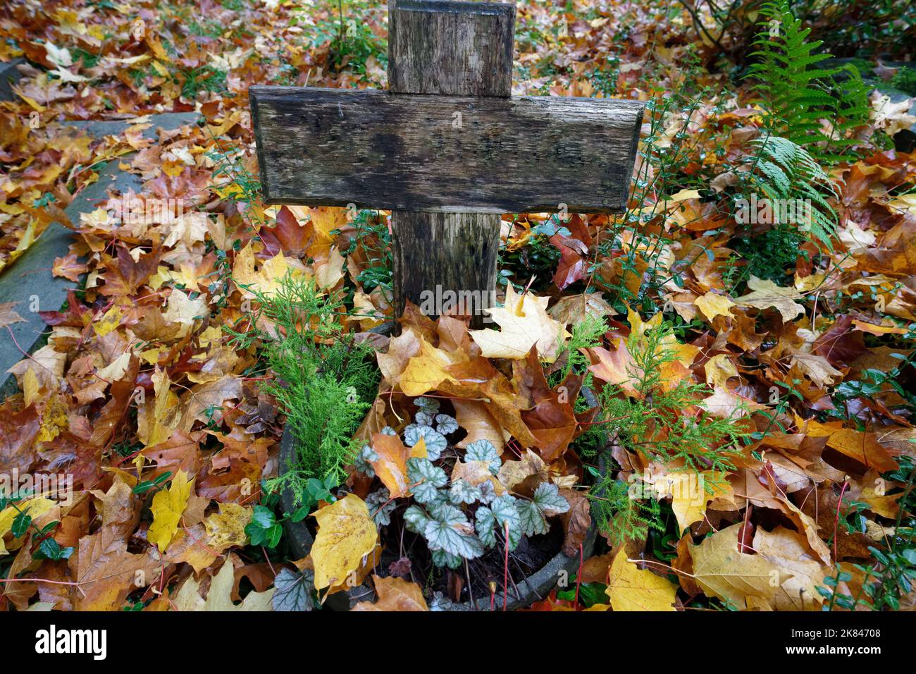 Altes verwittertes Holzkreuz auf einem Grab, das mit Herbstblättern bedeckt ist Stockfoto