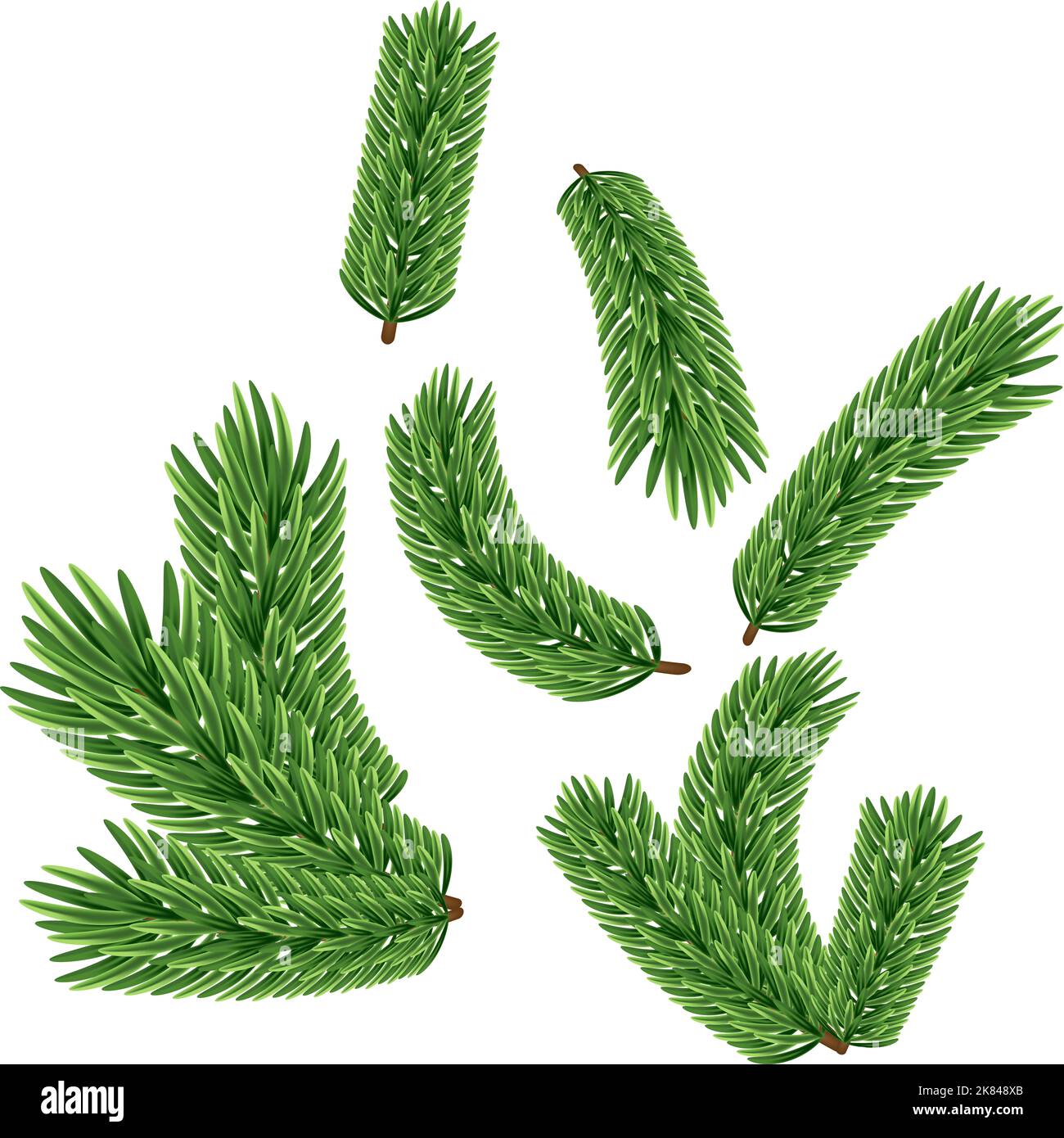 Flauschige Tannenzweige auf weißem Hintergrund. Frohe Weihnachten und Frohe Neujahrsdekoration. Grüner Tannenzweig, Vektor-Illustration für Ihren Design Stockfoto
