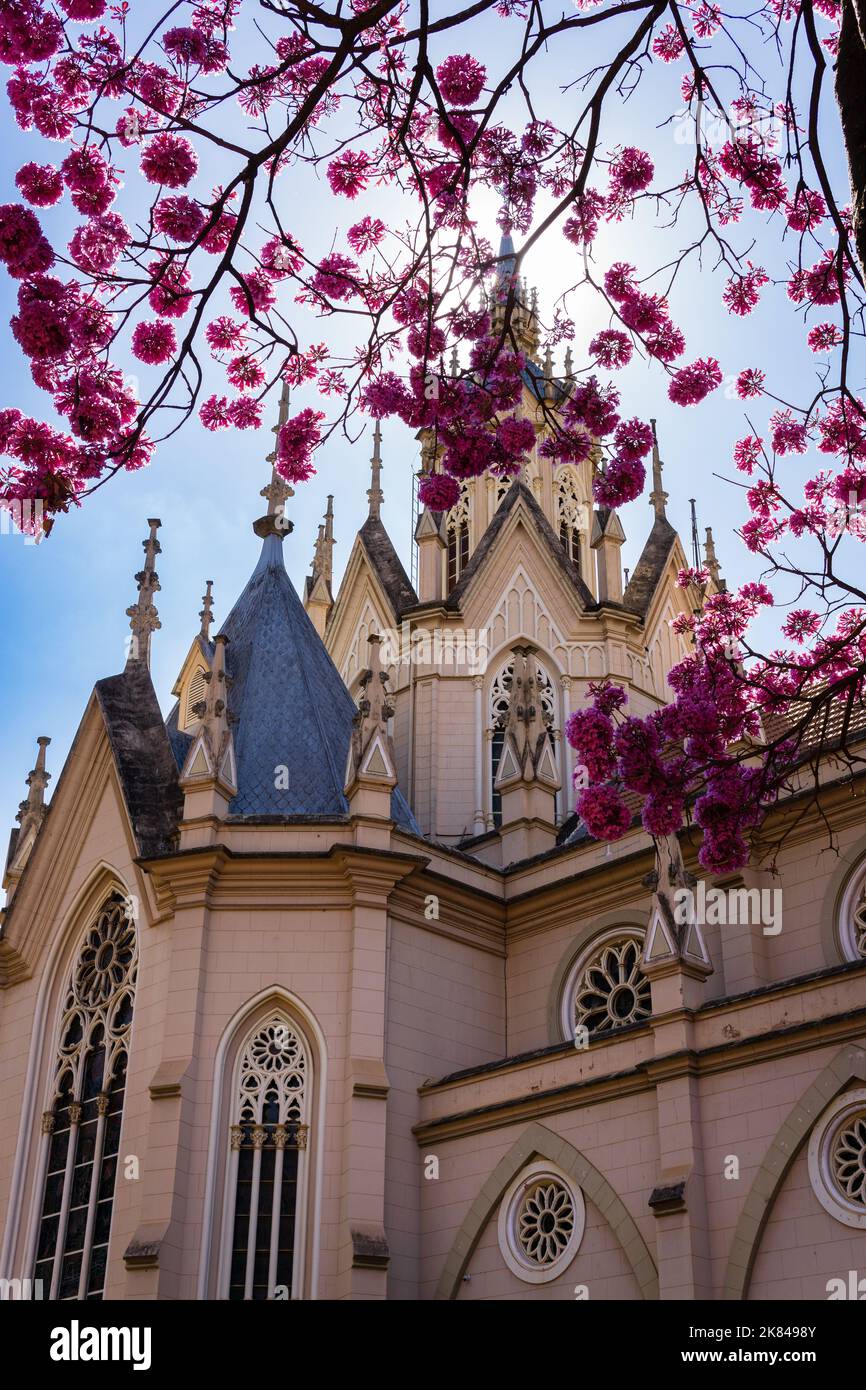 Außenansicht von Paróquia Nossa Senhora da Boa Viagem mit blauem Himmel und rosa Trompetenbaum in Belo Horizonte, Brasilien. Stockfoto