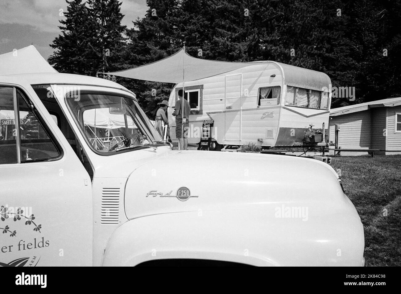 Ein Vintage Ford F-250 Pickup und Shasta Camping Anhänger im Besitz von Lavender Fields auf Puckin Blossom Farms sind im Gras der League of New H geparkt Stockfoto