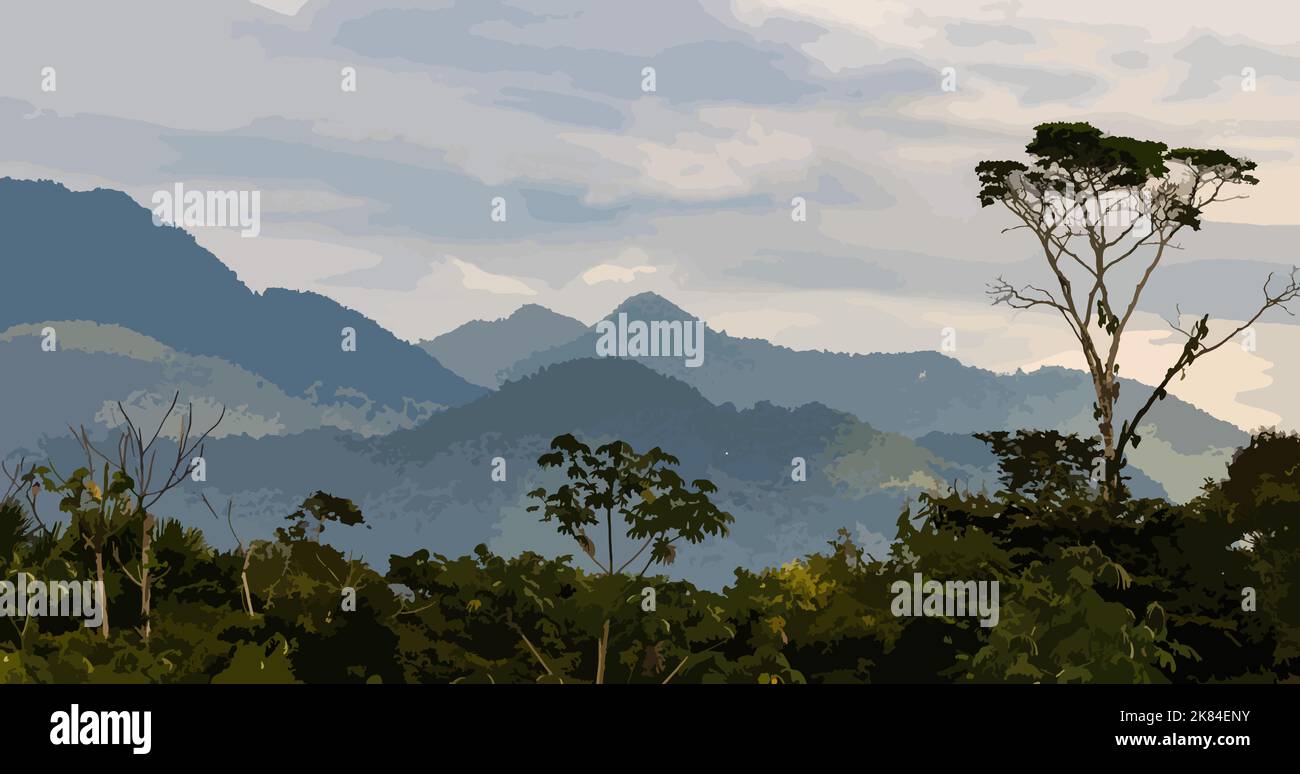 Alto Mayo ist der Ort, an dem einer der besten Kaffees der Welt angebaut wird; es ist ein Ort mit einem ausgezeichneten Klima und voller Biodiversität. Stockfoto