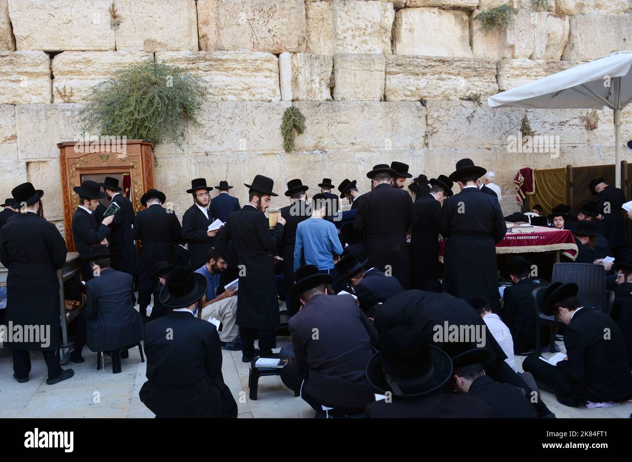 Jüdische Männer beten an der Klagemauer / Westmauer im jüdischen Viertel in der Altstadt von Jerusalem, Israel. Stockfoto