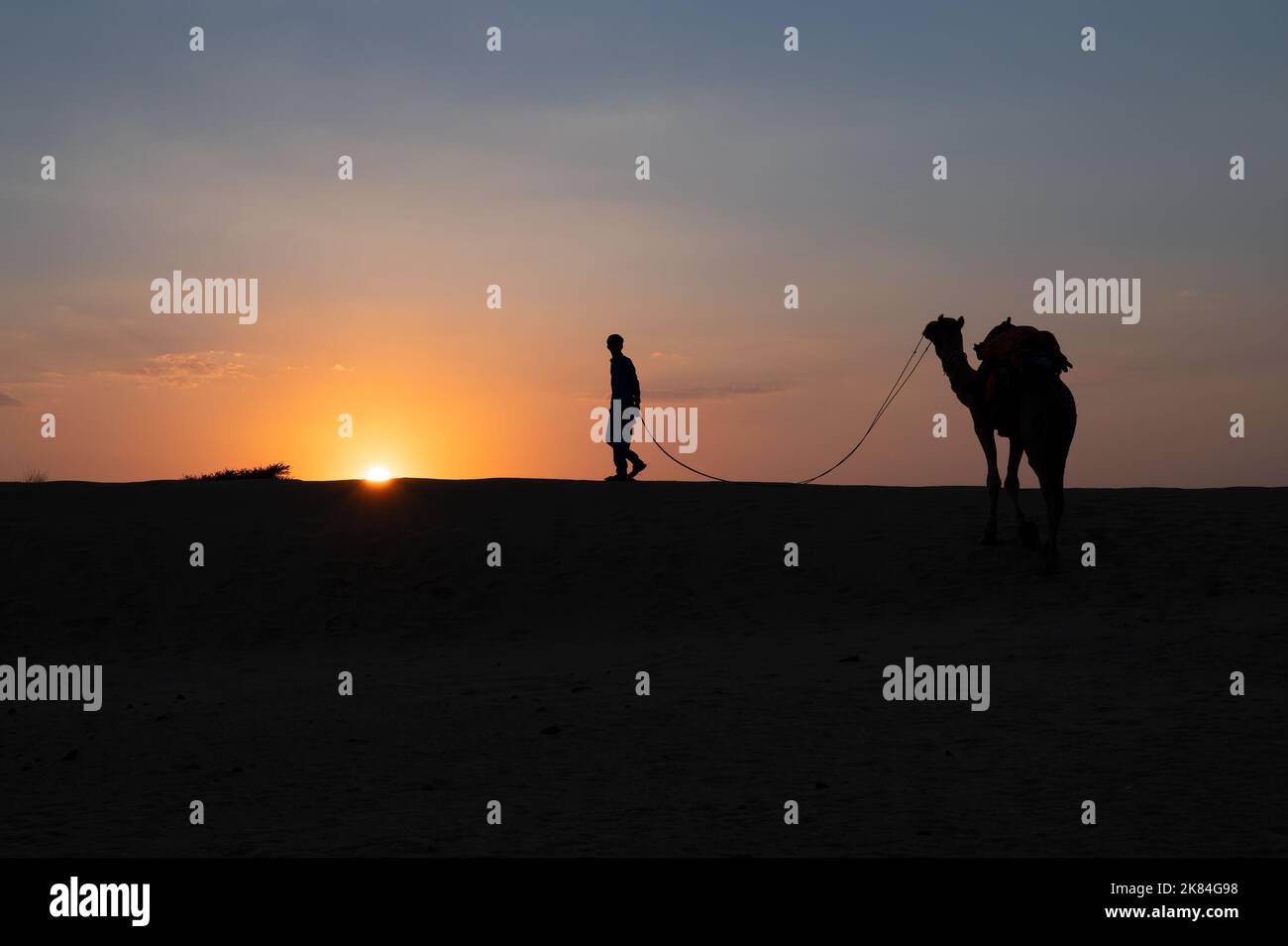Silhouette eines jungen Kamelers, der ein Kamel in Sanddünen führt. Untergehende Sonne mit blauem Himmel im Hintergrund. Stockfoto
