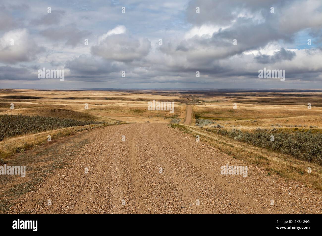 Unbenannte Präriestraße südlich von Wideview, Saskatchewan, die zum Grasslands National Park führt Stockfoto