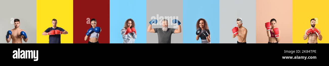 Set aus verschiedenen Boxern auf buntem Hintergrund Stockfoto