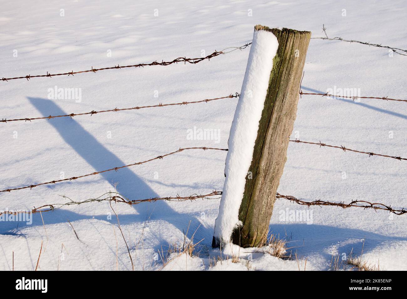 Winterbilder aus dem Teutoburger Wald Stockfoto