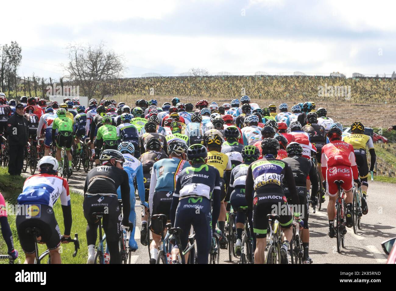 Peloton steigt in die Weinberge ein Etappe 4 Paris-Nizza 2016 Stockfoto