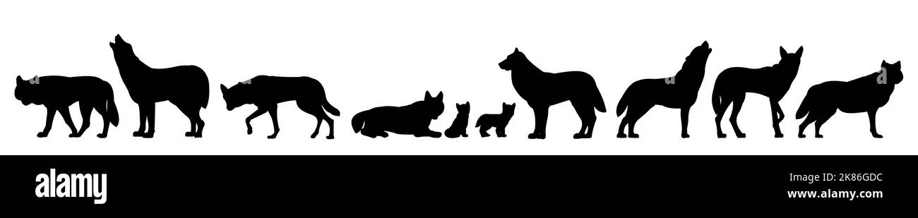 Set von Silhouetten von Wölfen. Pack ruht. Silhouettenbild. Wildes Tier in der Natur. Predator unter natürlichen Bedingungen. Isoliert auf weißem Hintergrund Stock Vektor