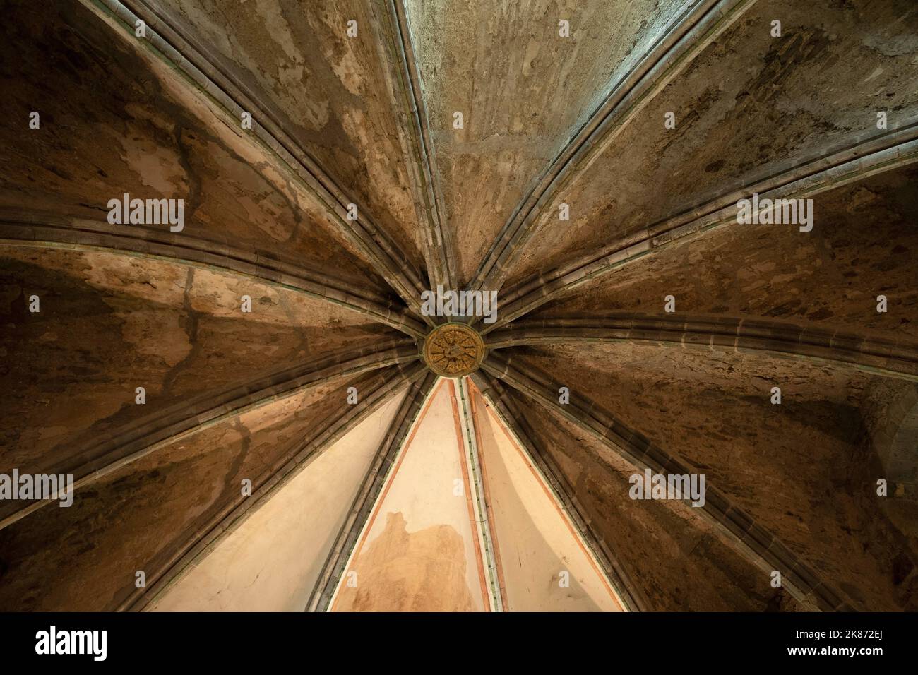 Keystone im Gewölbe des Schlosses Saint Floret, Puy de Dome, Auvergne Rhone Alpes, Frankreich. Europa Stockfoto