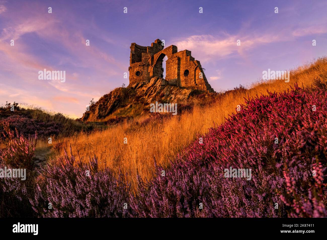 The Folly at Mow Cop with heather, Mow Cop, Ches hire, England, Vereinigtes Königreich, Europa Stockfoto