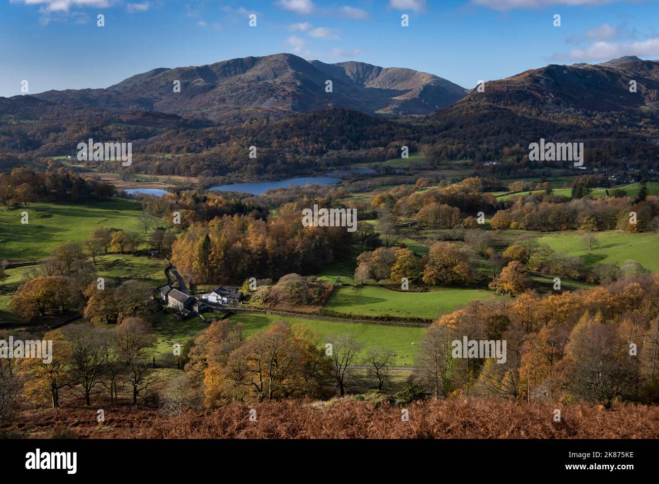 Elter Water, Wetherlam und Tilberthwaite Fells aus Loughrigg fielen im Herbst, Lake District National Park, UNESCO, Cumbria, England Stockfoto