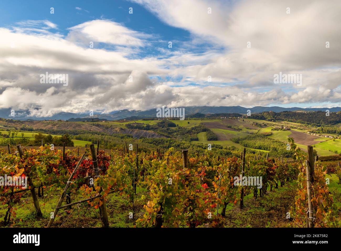 Weinbaugebiet in der Herbstsaison, Oltre Po Pavese, Lombardei, Italien, Europa Stockfoto