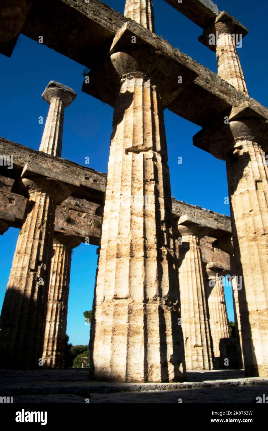 Dorische Säulen, Poseidon-Tempel, Paestum, UNESCO-Weltkulturerbe, Provinz Salerno, Kampanien, Italien, Europa Stockfoto