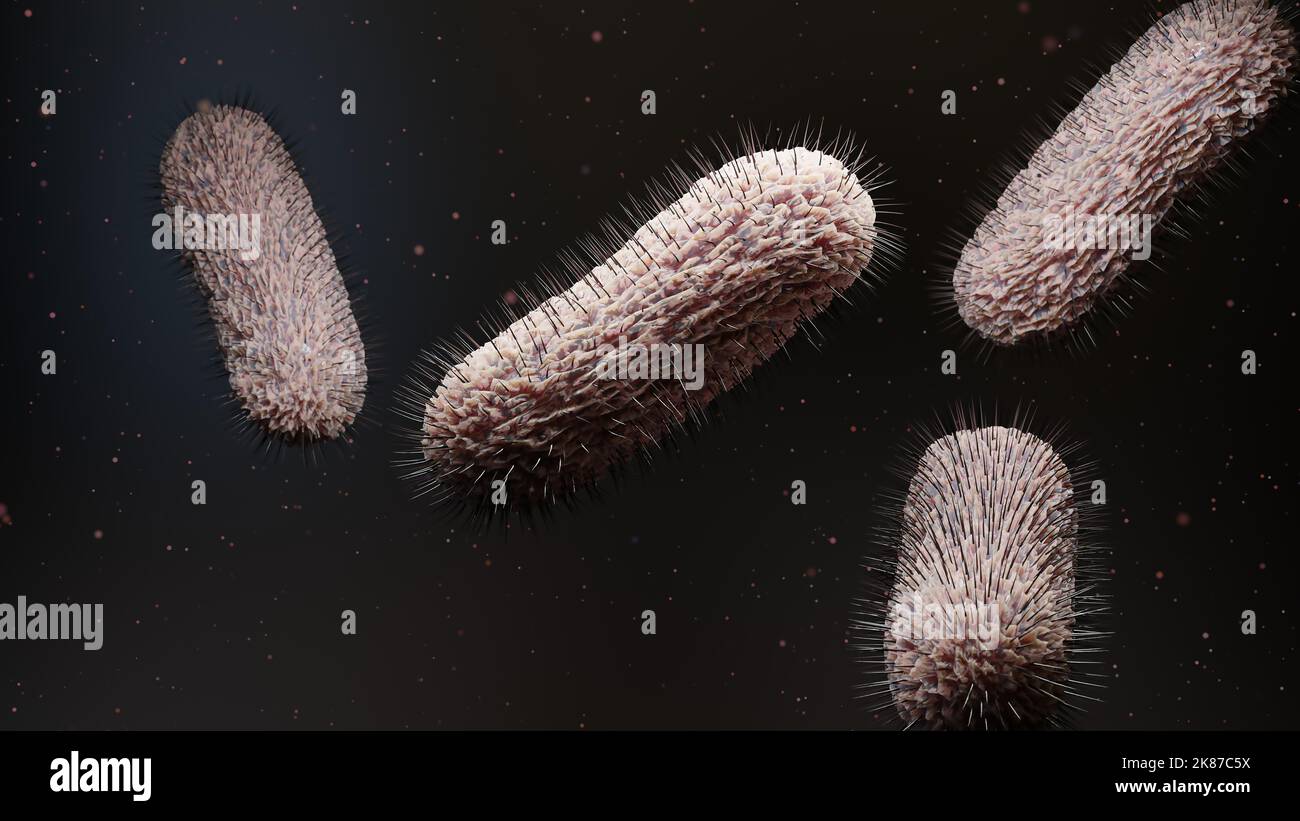 Peritriche Bakterien mit viel Flagellum, Bakterien mit langen Schwänzen und dünnen Zotten, die sich in der schwarzen Umgebung bewegen, Viren, die in der Flüssigkeit schwimmen Stockfoto