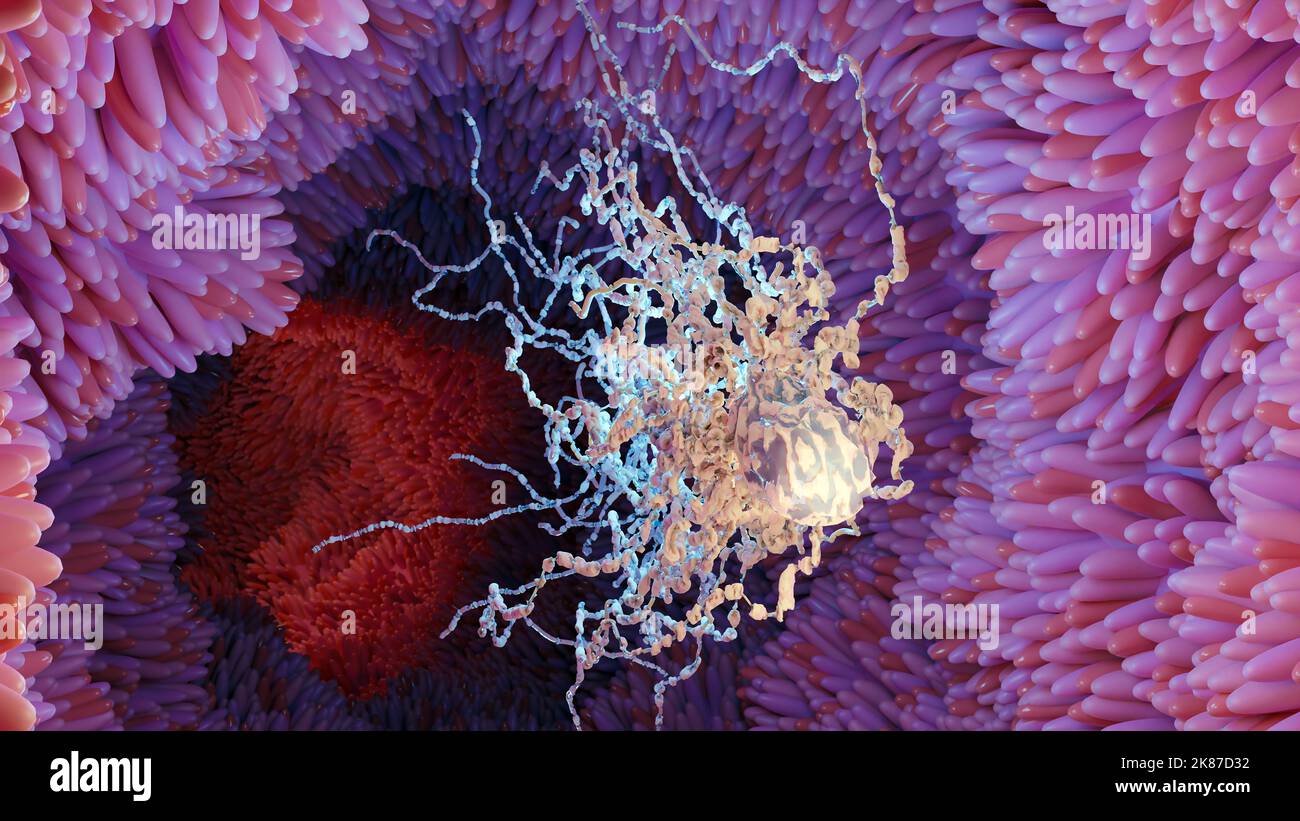 Peritriche Bakterien mit viel Flagellum, Bakterien mit langen Schwänzen und dünnen Zotten, die sich in der schwarzen Umgebung bewegen, Viren, die in der Flüssigkeit schwimmen Stockfoto