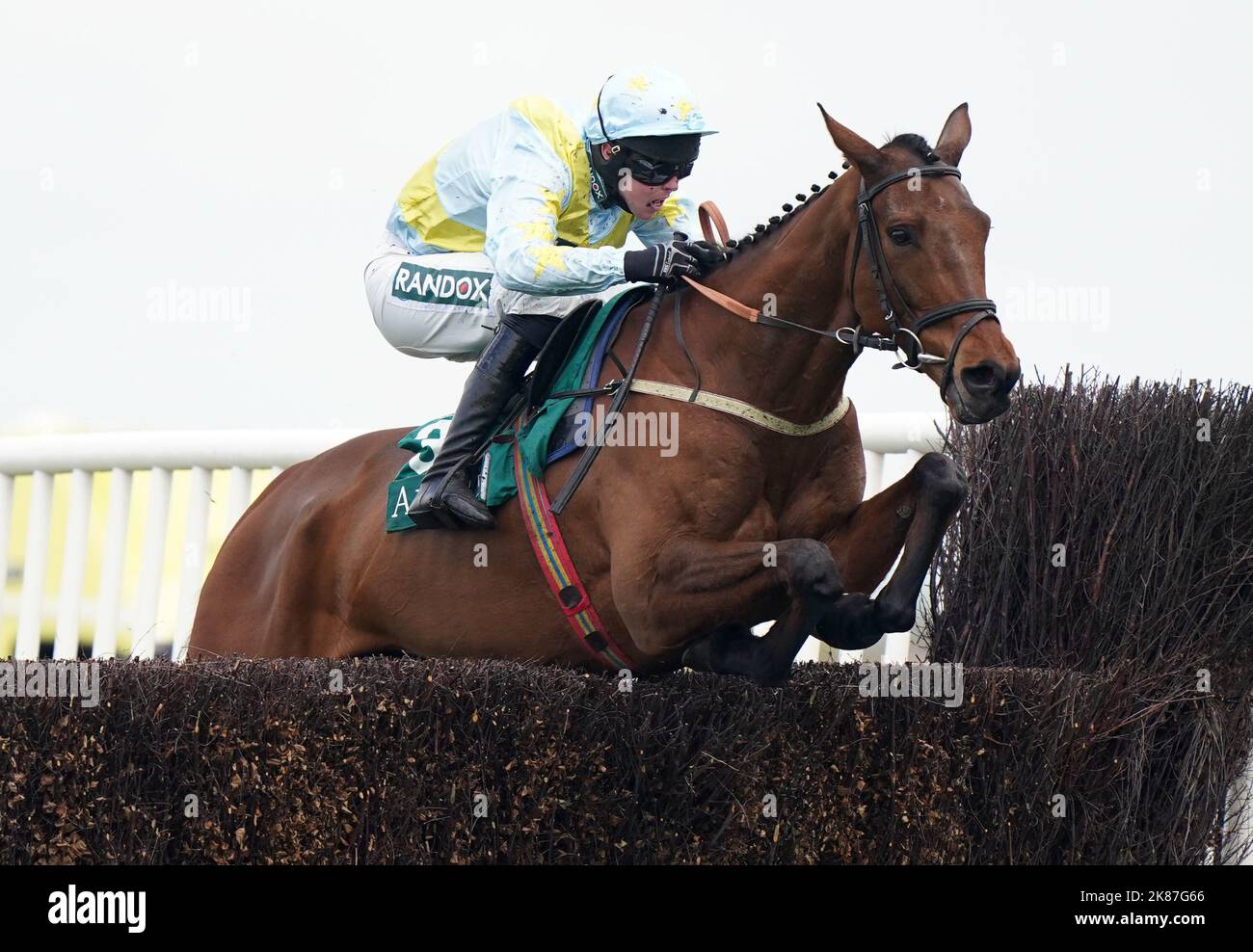 Aktenfoto vom 07042022 von Millers Bank. Alex Hales’ Stallstar