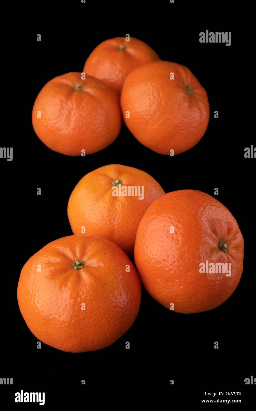 Mandarinen auf schwarzem Hintergrund Stockfoto