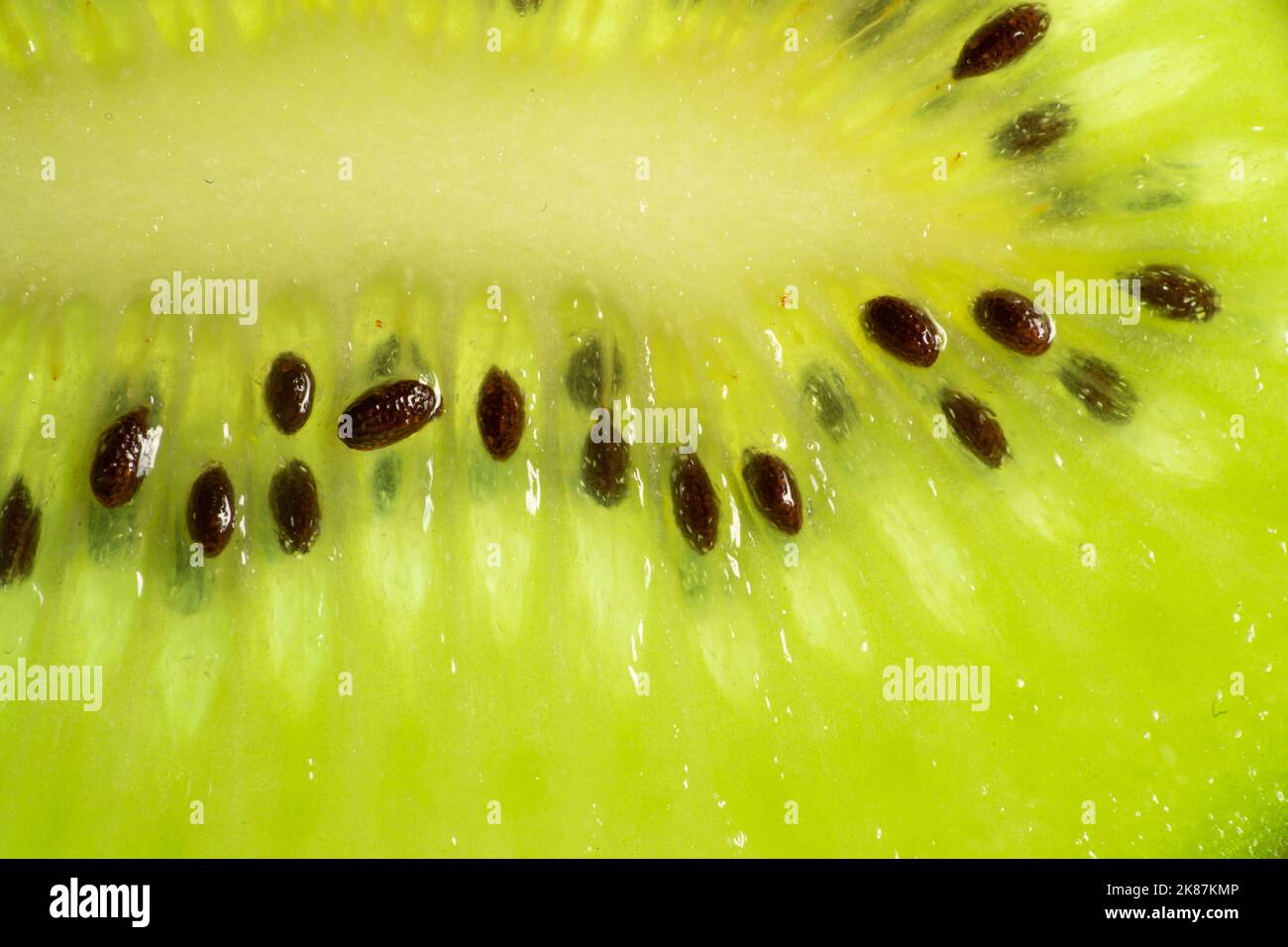 Scheibe von frischen, saftigen Kiwi-Früchten mit Samen aus nächster Nähe, Makro-Hintergrund. Stockfoto