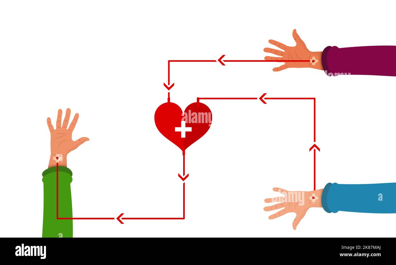 Freiwillige Blutspende an einen Patienten Illustrationskonzept. Blutspender und Empfänger verbinden sich mit einem roten Herz auf weißem Hintergrund Stockfoto