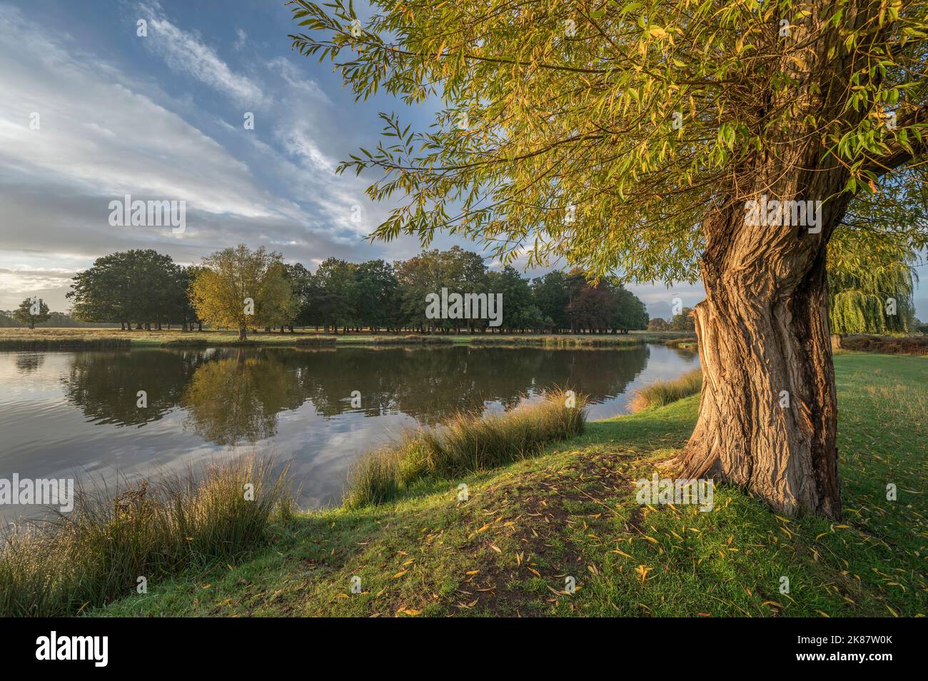 Wenig Sonnenlicht bei Sonnenaufgang im Oktober an den Bushy Park Ponds in Surrey, Großbritannien Stockfoto