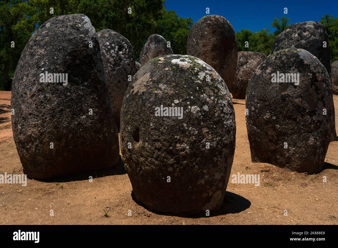 Korkeichenbäume und ein wolkenloser, tiefblauer Himmel versetzen diesen Blick auf einen der ältesten und größten Megalithkomplexe Europas, den 7.000 Jahre alten Almendres Cromlech in der Nähe von Évora in Alentejo, Südportugal. Granitfelsen, einige mit Symbolen geschnitzt, wurden in konzentrischen Kreisen angeordnet, um sich an Sonne, Mond und Sternen auszurichten. Stockfoto