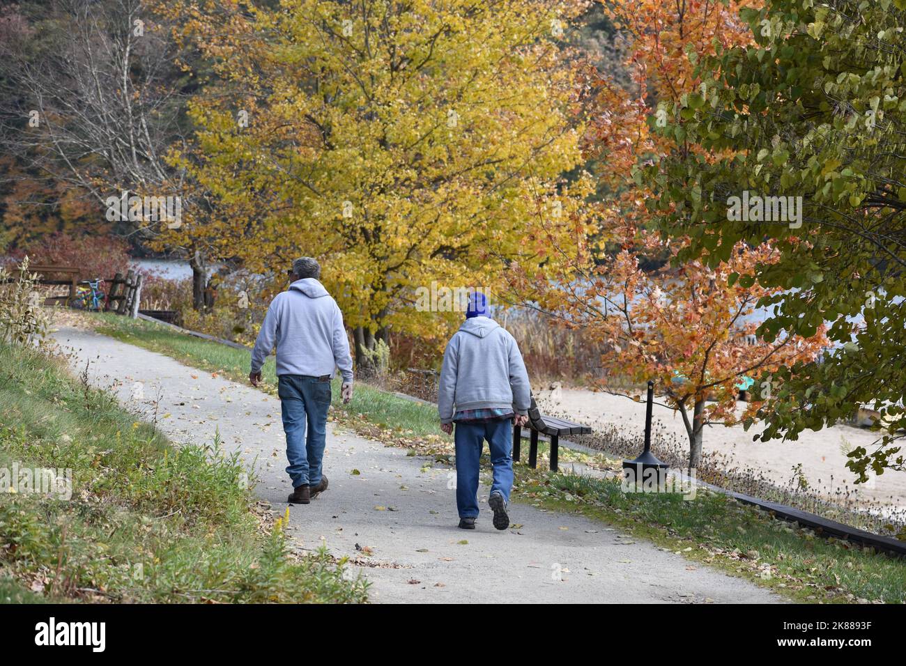 Zwei männliche Arbeiter, die im Herbst auf dem Parklfad spazieren Stockfoto
