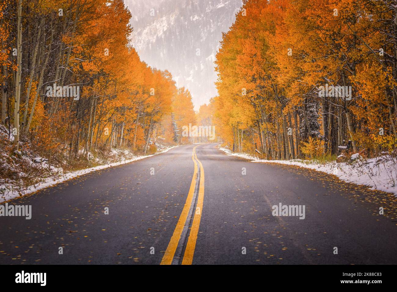 Herbst Colorado Roadtrip-Abenteuer Aspen Colorado Stockfoto